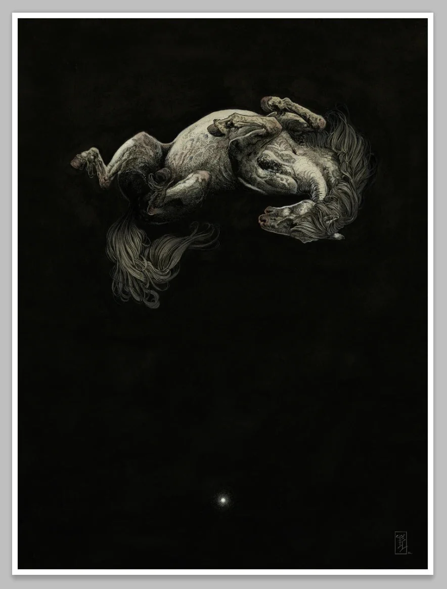 DEFTONES - 'WHITE PONY|BLACK STALLION' DELUXE BOX WITH MAGAZINE BOX AND LIMITED EDITION PRINT - Image 2