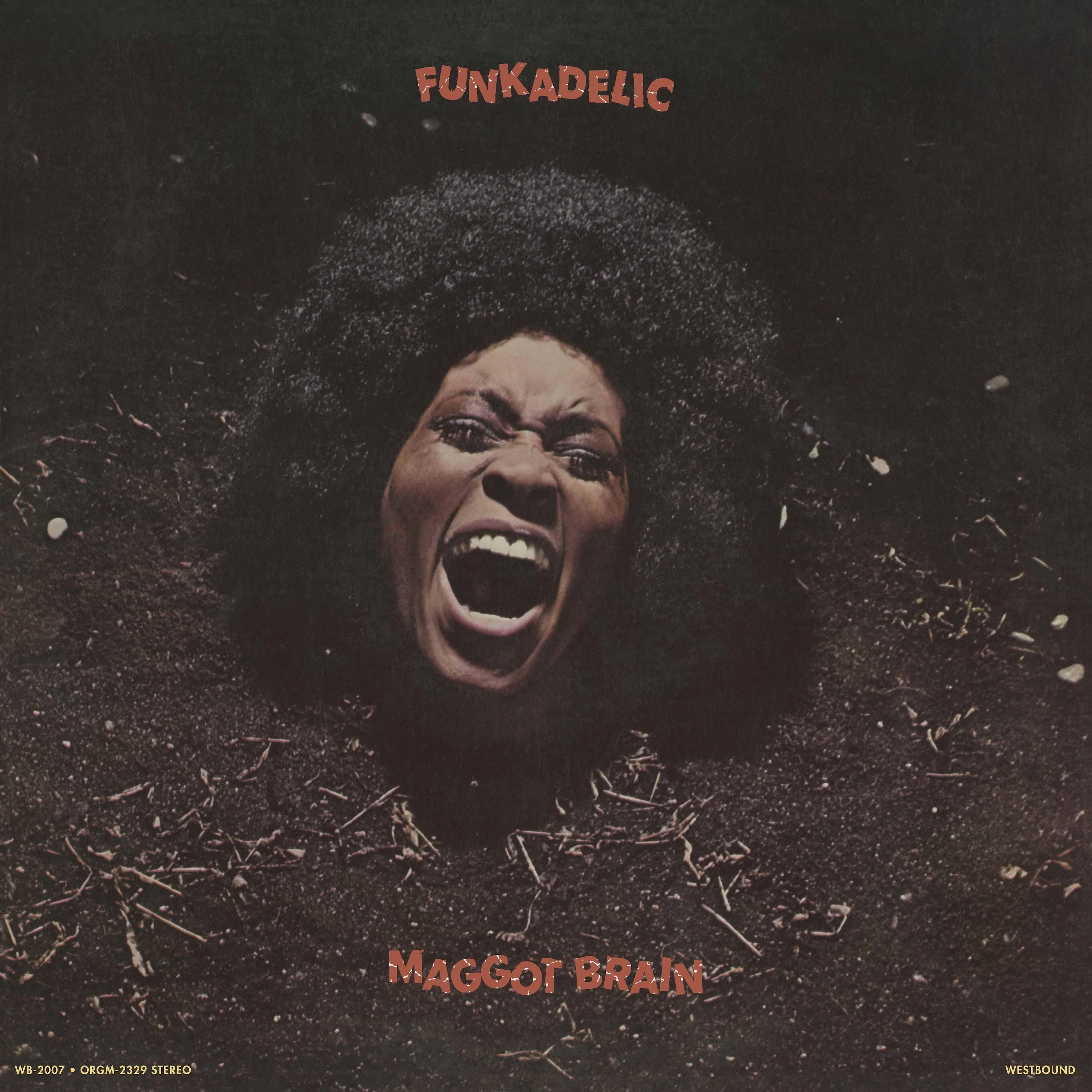 FUNKADELIC 'MAGGOT BRAIN' LP