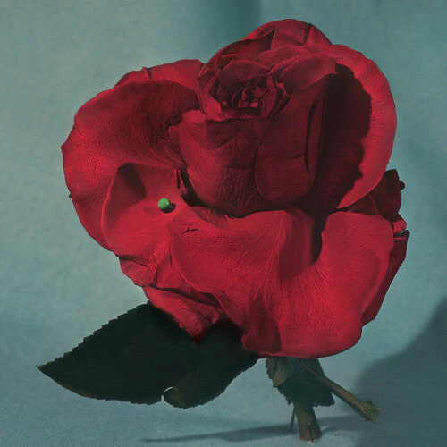 METZ 'UP ON GRAVITY HILL' LP - COLOR