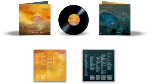 SILVERSUN PICKUPS 'TENTERHOOKS' LP - Image 2