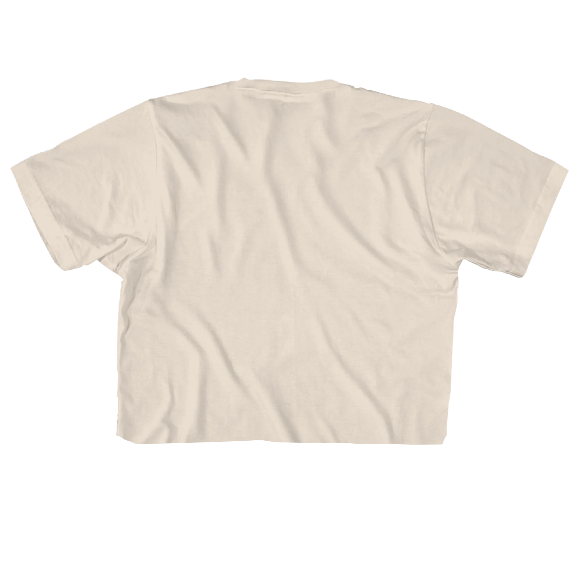 SPICE GIRLS GROUP PHOTO 21" CROPPED NATURAL T-SHIRT - Image 2