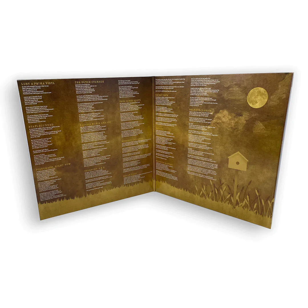 THE SPILL CANVAS'ONE FELL SWOOP' 2LP - EXCLUSIVE - LTD. 200 - BEER/SWAMP GREEN/SPLATTER - Image 3