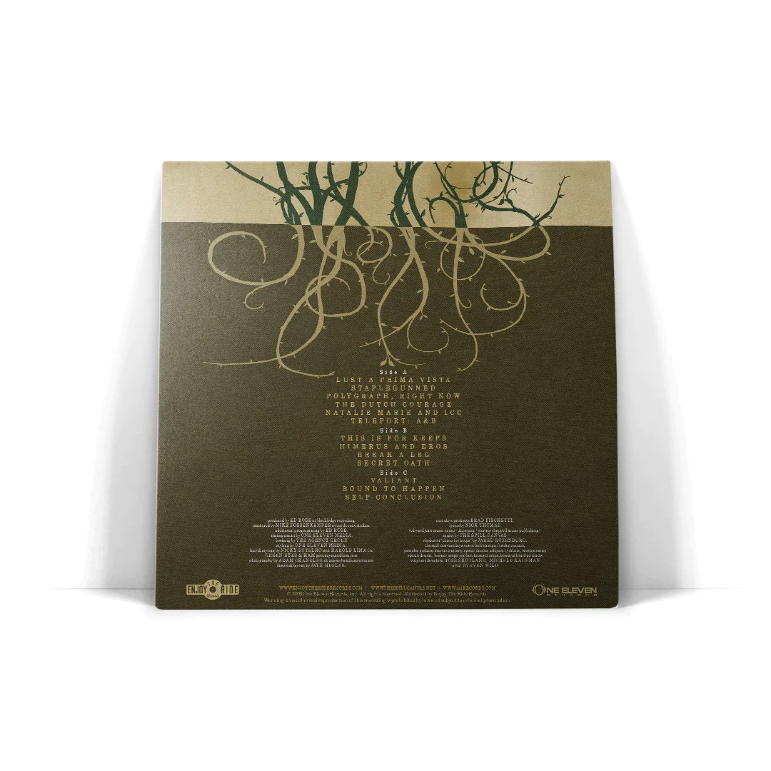 THE SPILL CANVAS'ONE FELL SWOOP' 2LP - EXCLUSIVE - LTD. 200 - BEER/SWAMP GREEN/SPLATTER - Image 5