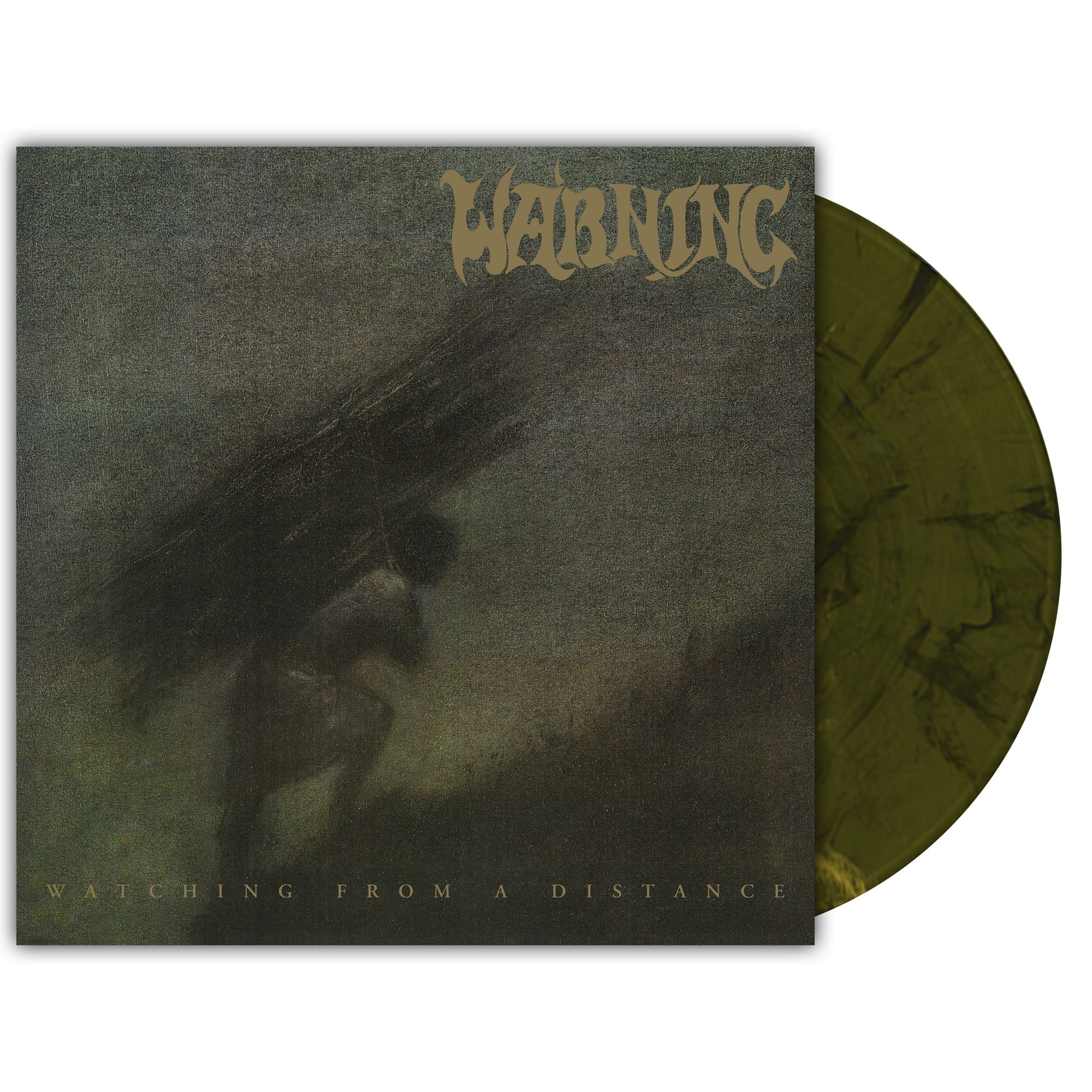 WARNING 'WATCHING FROM A DISTANCE' 20TH ANNIVERSARY 2LP - LABRADORITE MARBLE